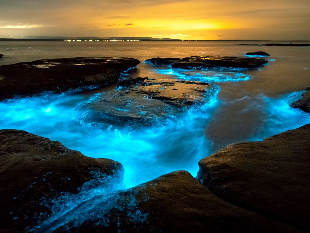 Bioluminescence and Stargazing Paddle Tour Parrish Park, Titusville