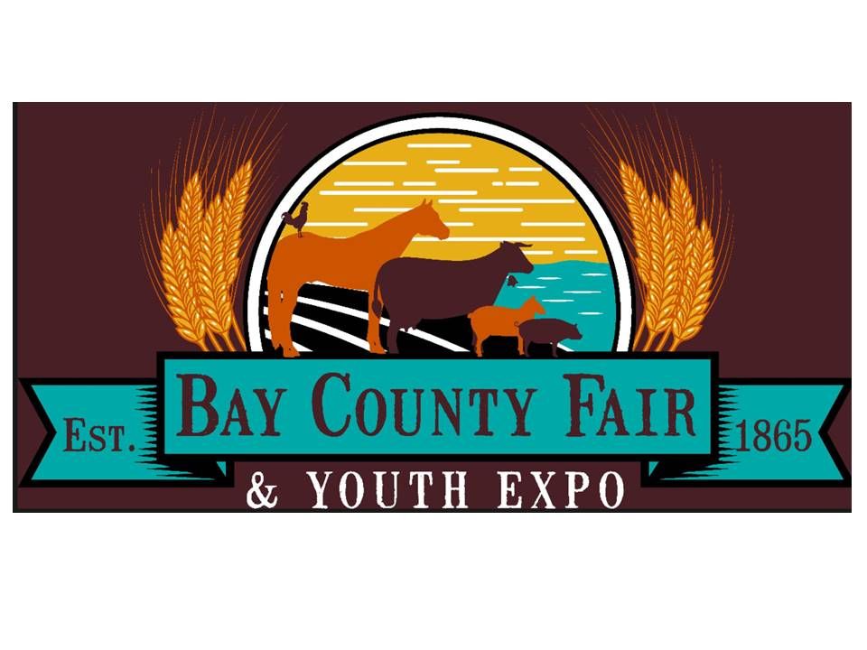 Horse Pulls with Michigan Pony Dynamometer Association Bay County