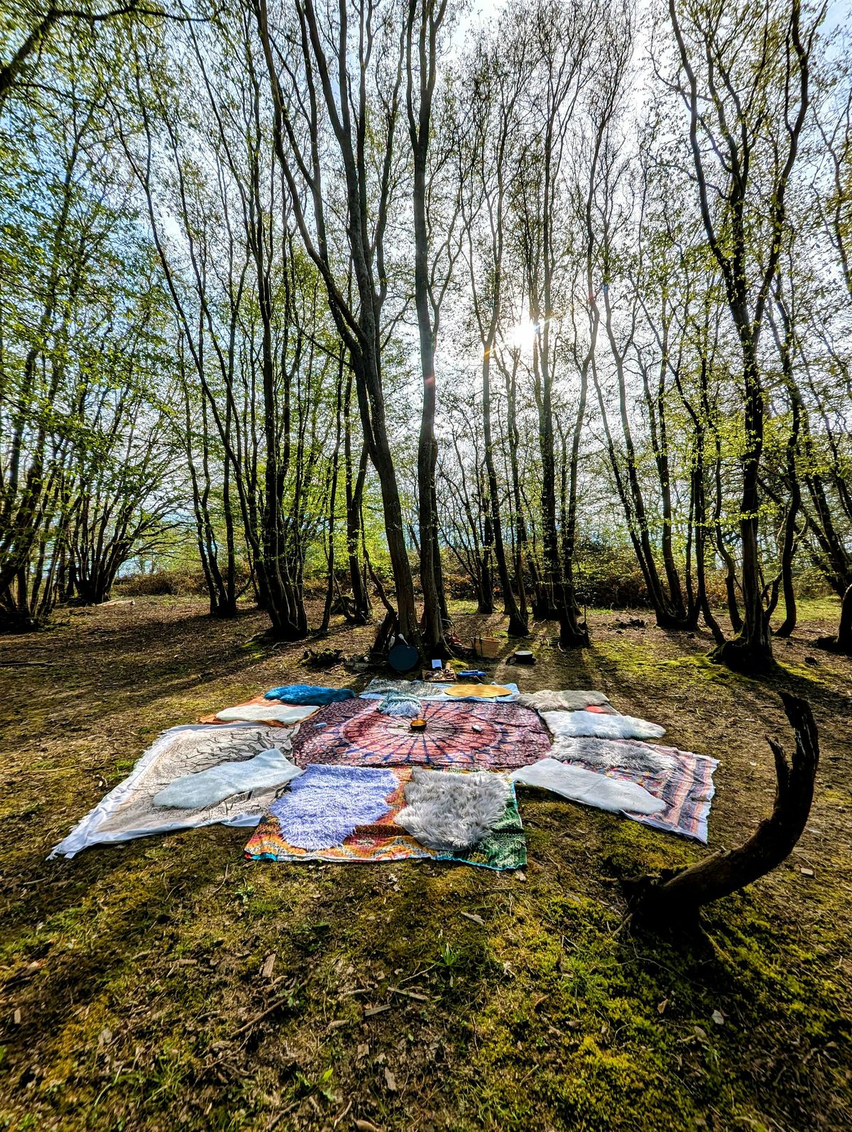 The Woodland Circle: Singing Roots Nurturing Singing Circle