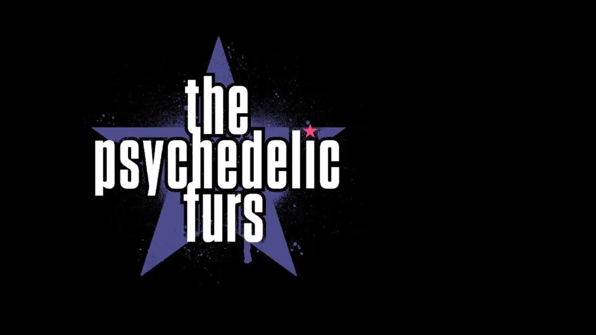 The Psychedelic Furs in HAMBURG