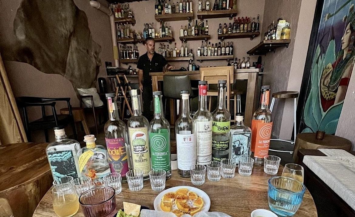 Mezcal: Farm to Glass Tasting Experience at Escondido