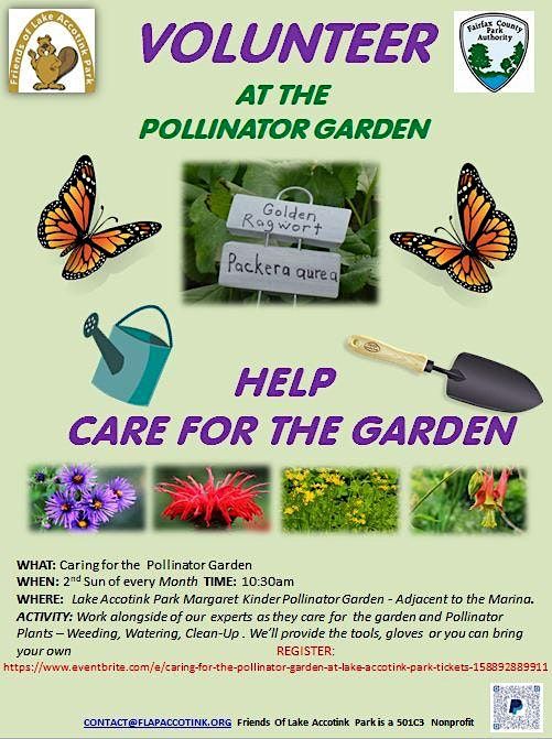 Caring For The Pollinator Garden At Lake Accotink Park | 7500 Accotink ...