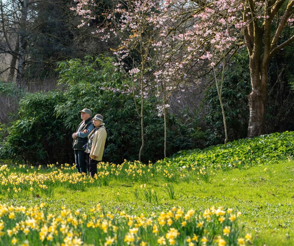 Step into Spring: a Garden Tour at Powis Castle and Garden NT ...
