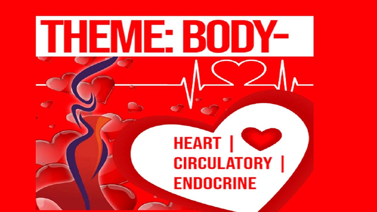 3rd-5th Grade THEME: BODY-HEARTS | CIRCULATORY\/ENDOCRINE SYSTEM