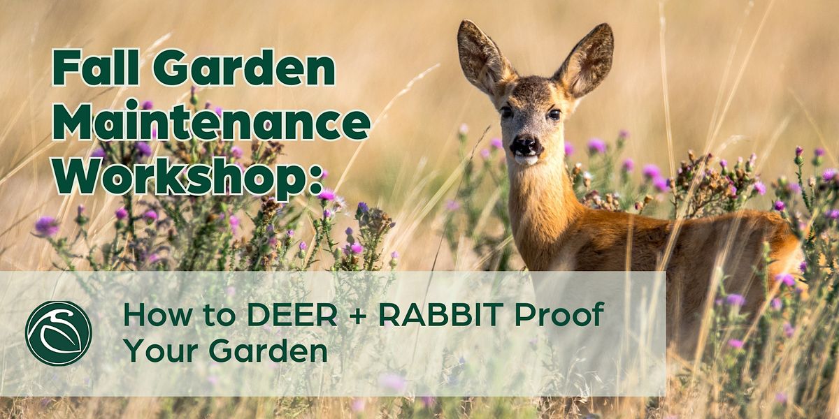 How to Deer & Rabbit Proof Your Garden