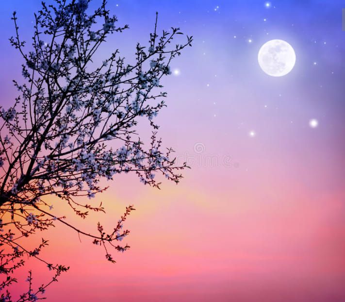 Budding Full Moon Clifton Universalist Unitarian Church, Louisville