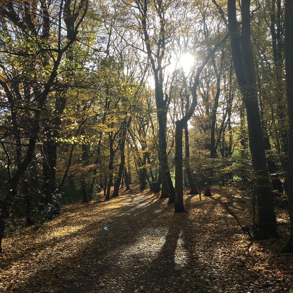 Death Cafe Queen's Wood (Highgate)