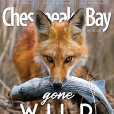 Chesapeake Bay Magazine