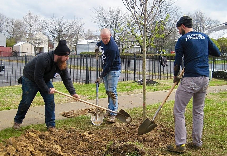 Citizen Forester 101 Training-Spring 2022 at Louisville Grows: Healthy ...