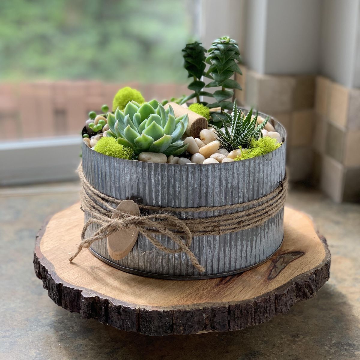 Galvanized Succulent Gardens @ Rustic Cork | Rustic Cork Wine Bar, Lake Stevens, WA | March 29, 2022 Galvanized Succulent Gardens @ Rustic Cork | Rustic Cork Wine Bar, Lake Stevens, WA | March 29, 2022