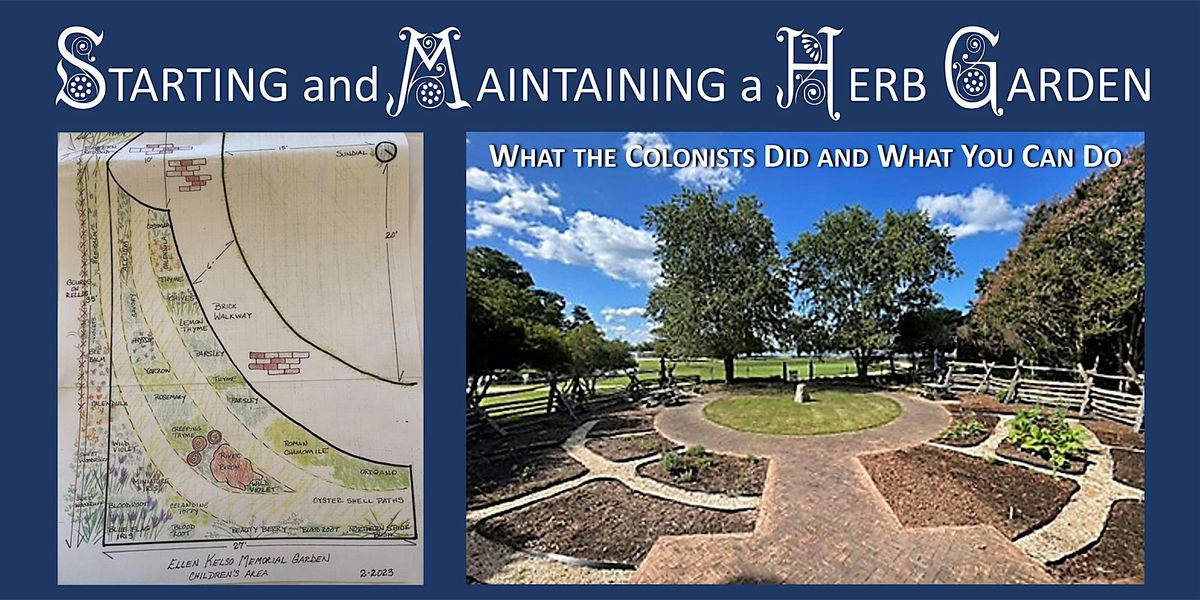 Starting and Maintaining a Herb Garden