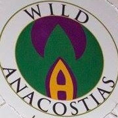 Wild Anacostias