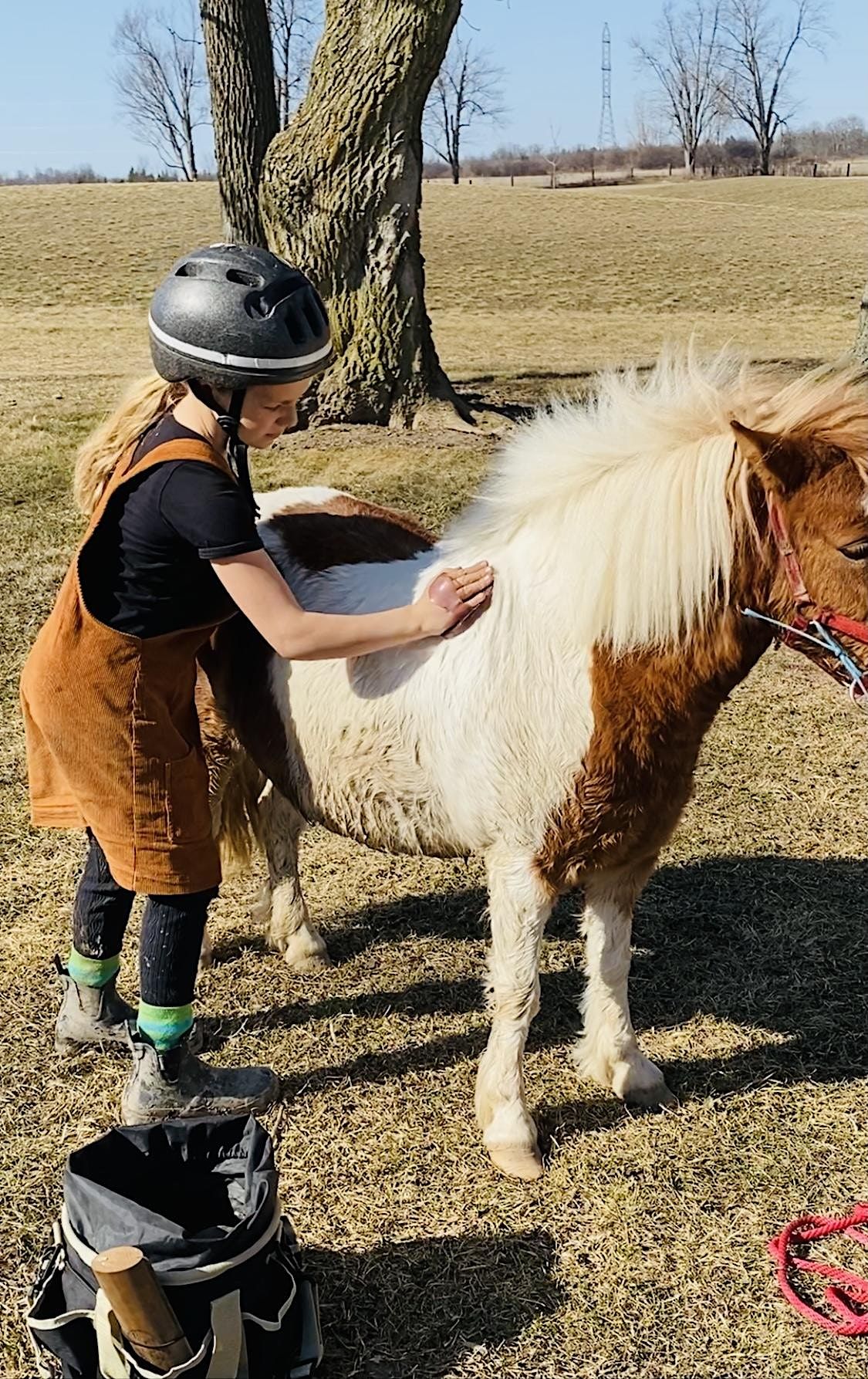 Pony Parties (Basic Pony Care; Hands-On Encounters and Pony Ride) at ...