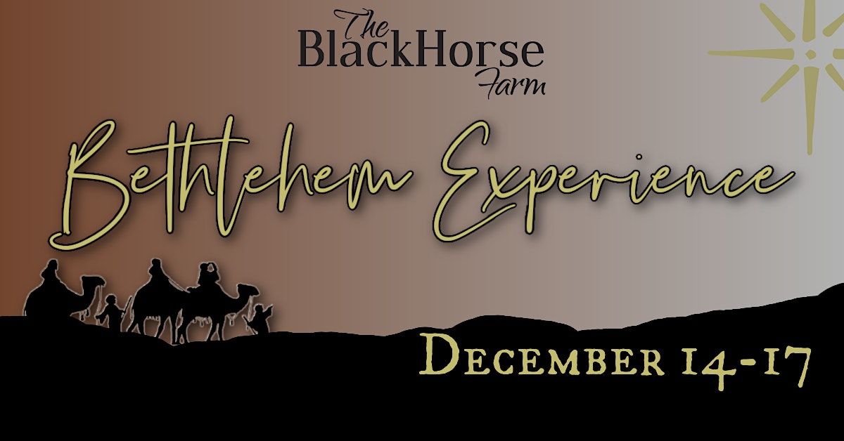 The Bethlehem Experience and Live Nativity at The BlackHorse Farm