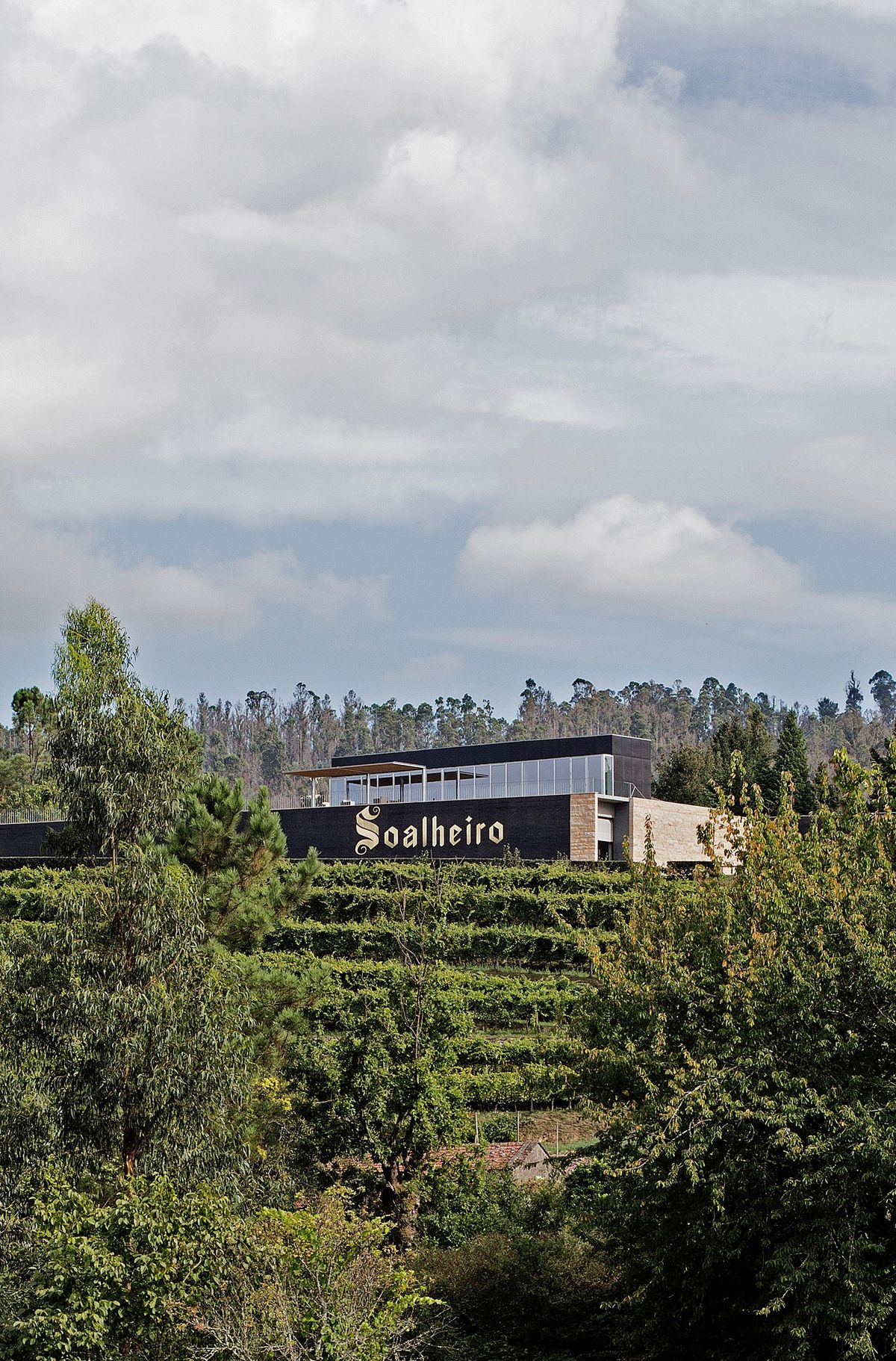 Alvarinho with Not Yet Named Wine Co