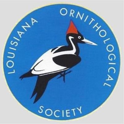 Louisiana Ornithological Society