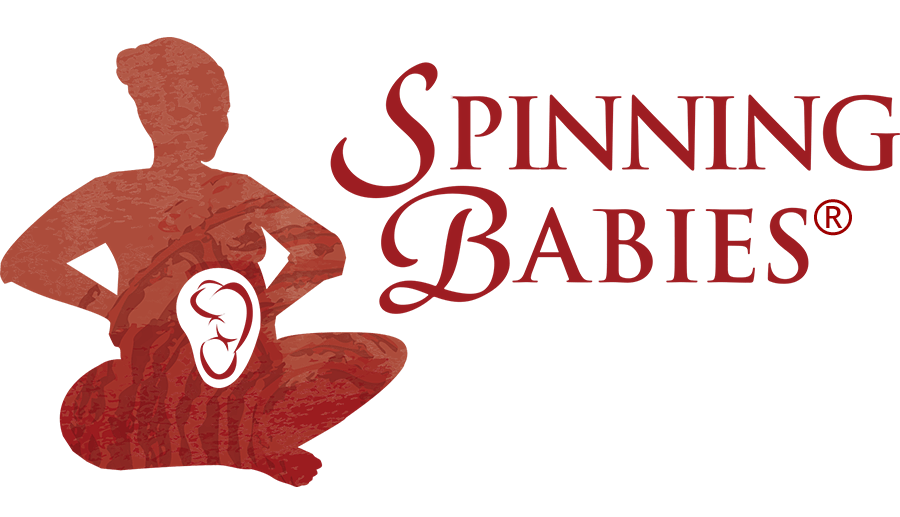 Palm Beach, Aruba - Spinning Babies\u00ae Integration Retreat - Feb 16-19, 2023