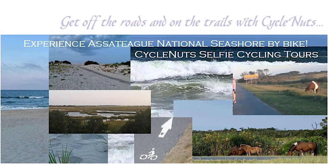 Assateague Island National Seashore, Maryland - Smart-guided Bikeway Tour
