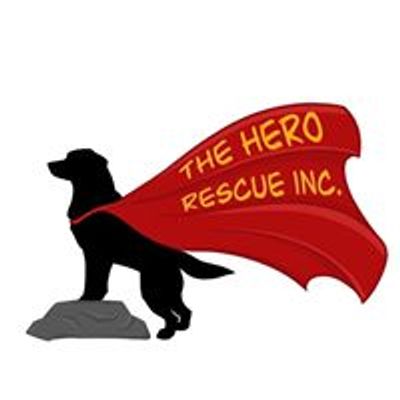 The Hero Rescue