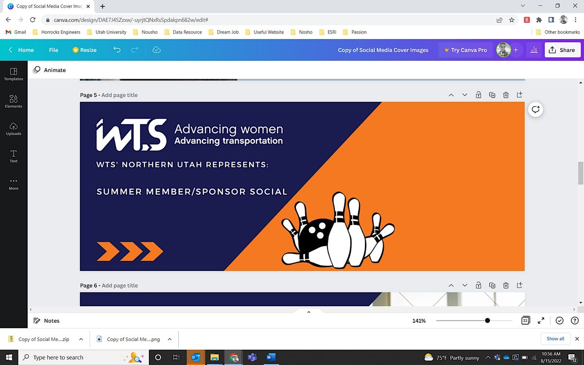 WTS Summer Member/Sponsor Social Pins & Ales Valley Fair, West