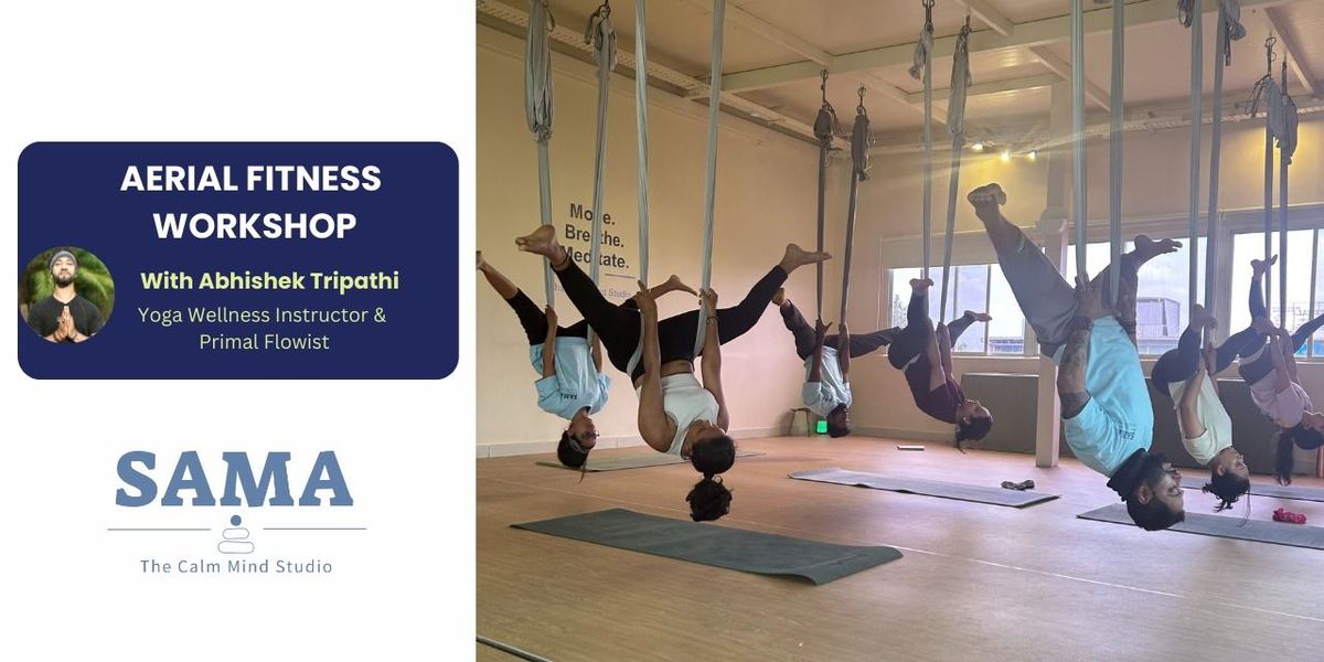AERIAL FITNESS WORKSHOP