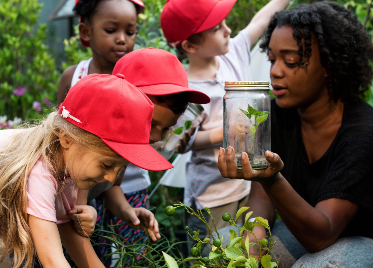 Nature Revealed: Spring/Summer Activities | Anita B. Gorman ...