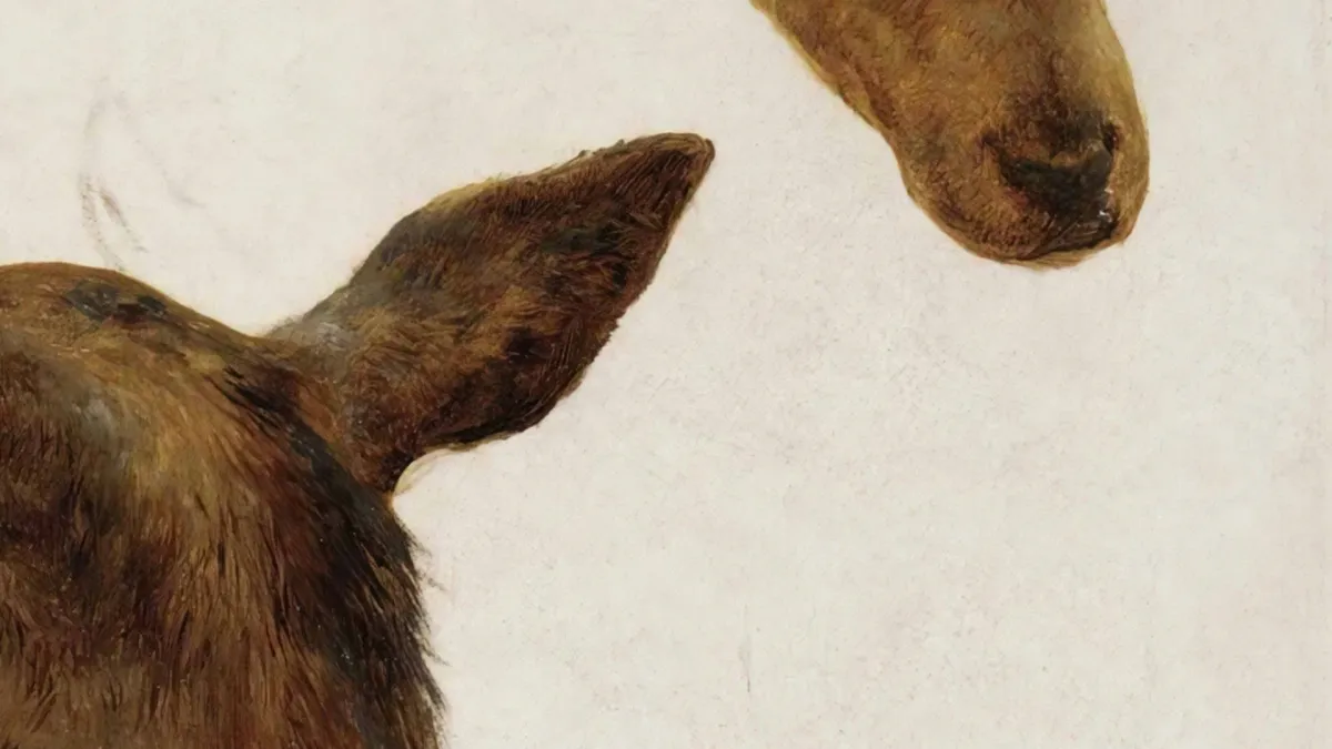 Max Garc\u00eda Conover, Haley Heynderickx in Brattleboro