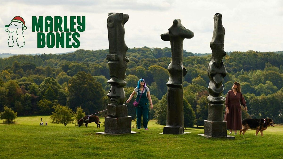 Marleybones x Exploring With Nina Christmas Walk