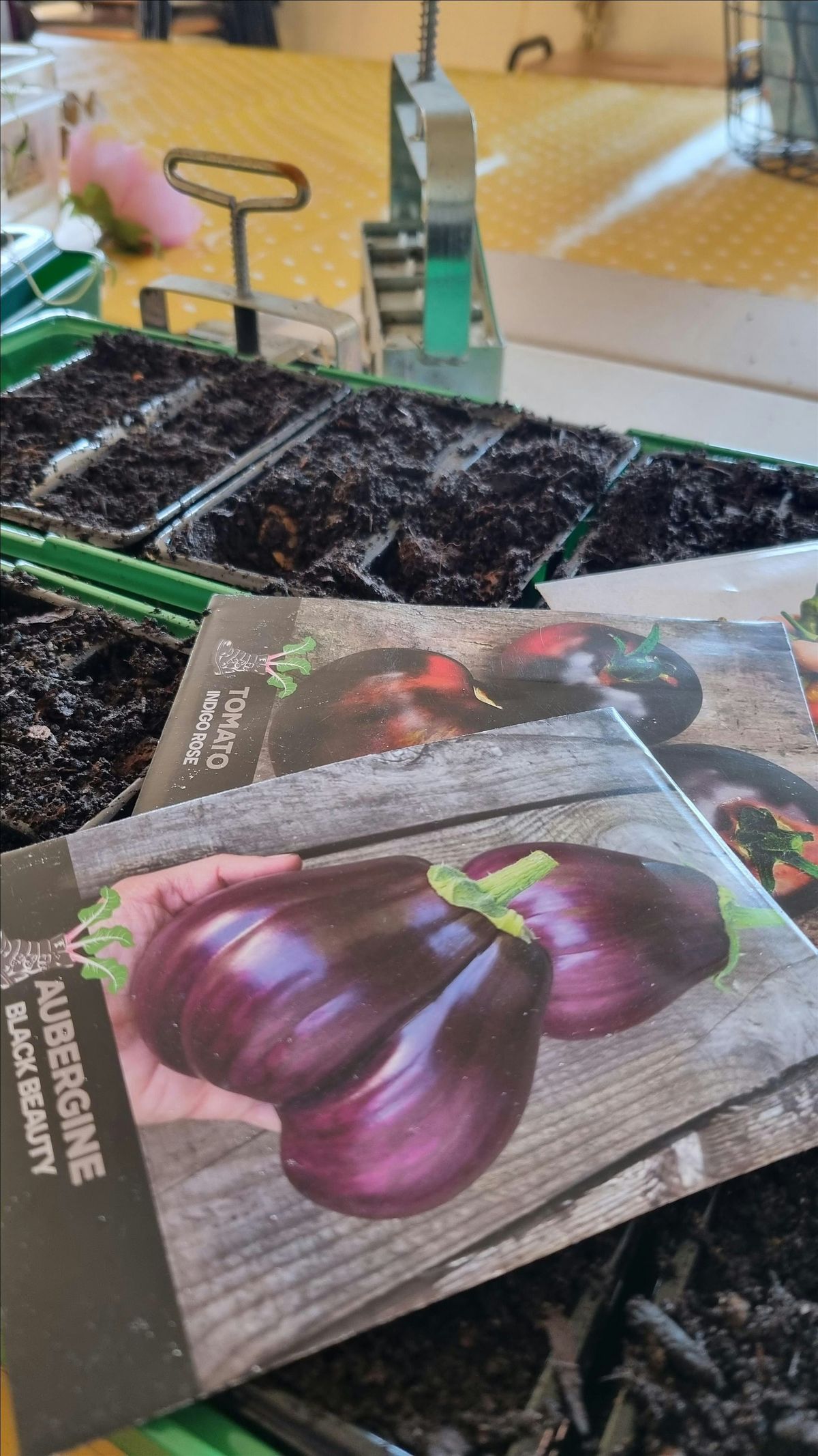 5 Week Gardening Workshop With The Gardening Lady (Hands On)