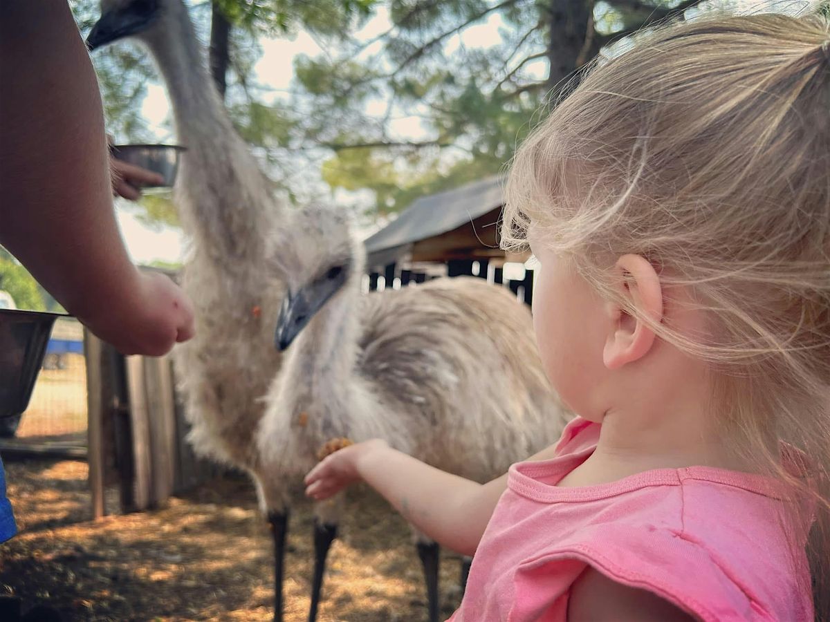 Farm Tour - Meet our Animals!