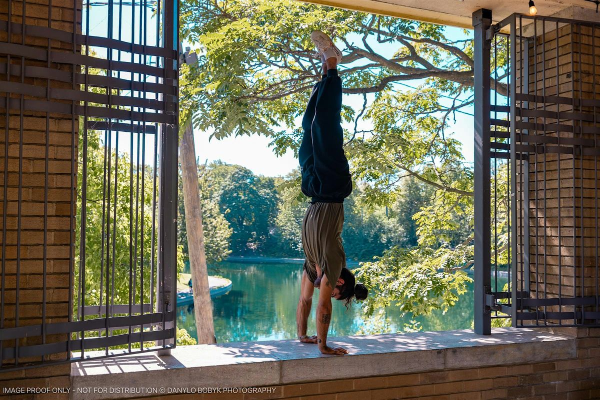 The Acrobatic Experience: 5 workshops