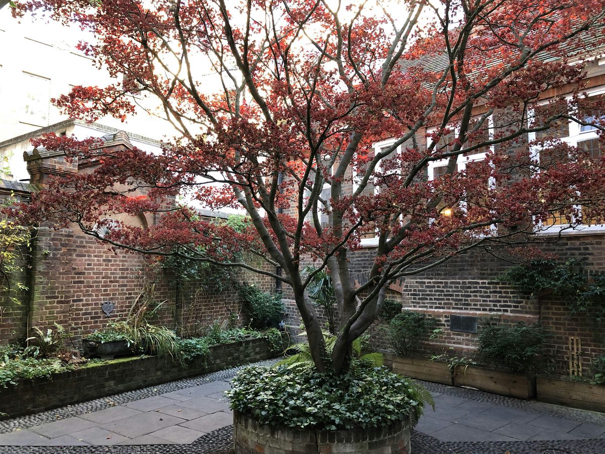 Secret Gardens, Hidden Churches