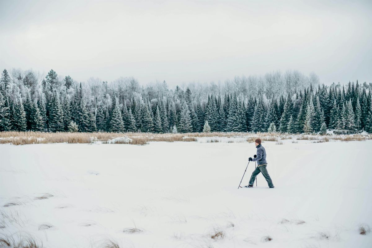 Wild Teaching and Learning: Winter Tree ID