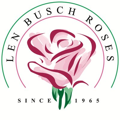 Len Busch Roses