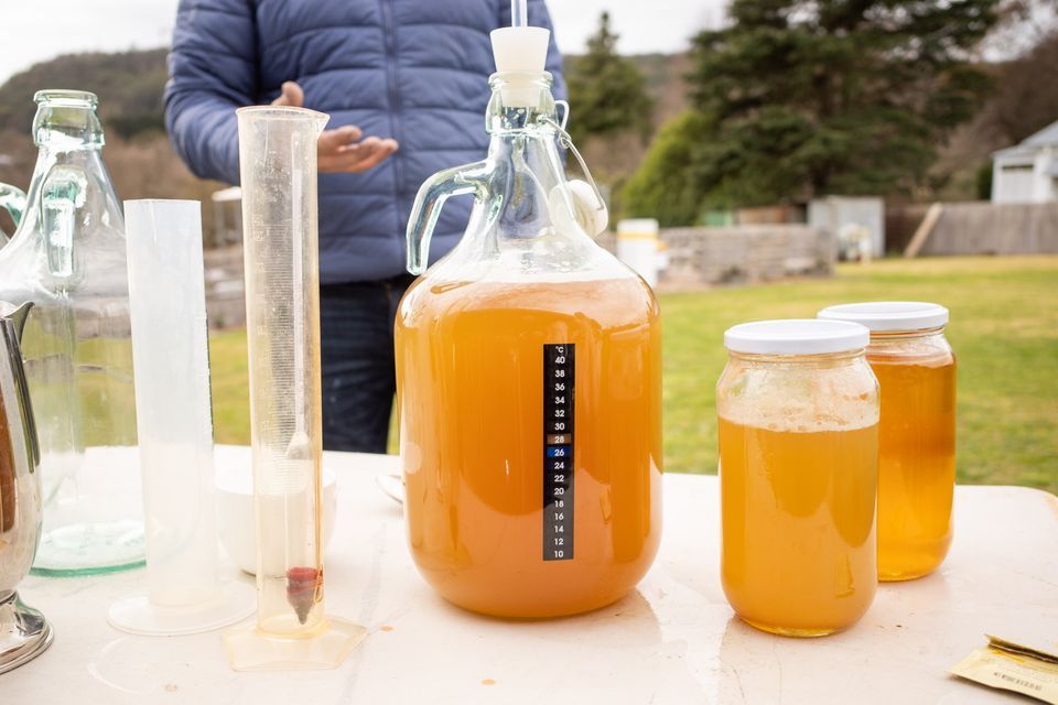 Mead Life Crisis Mead Making Bowral Beekeeping April 8, 2023