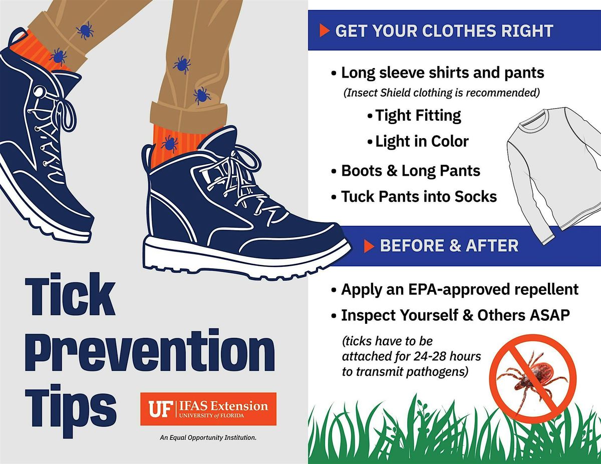 Ticks and Tick-Borne Diseases