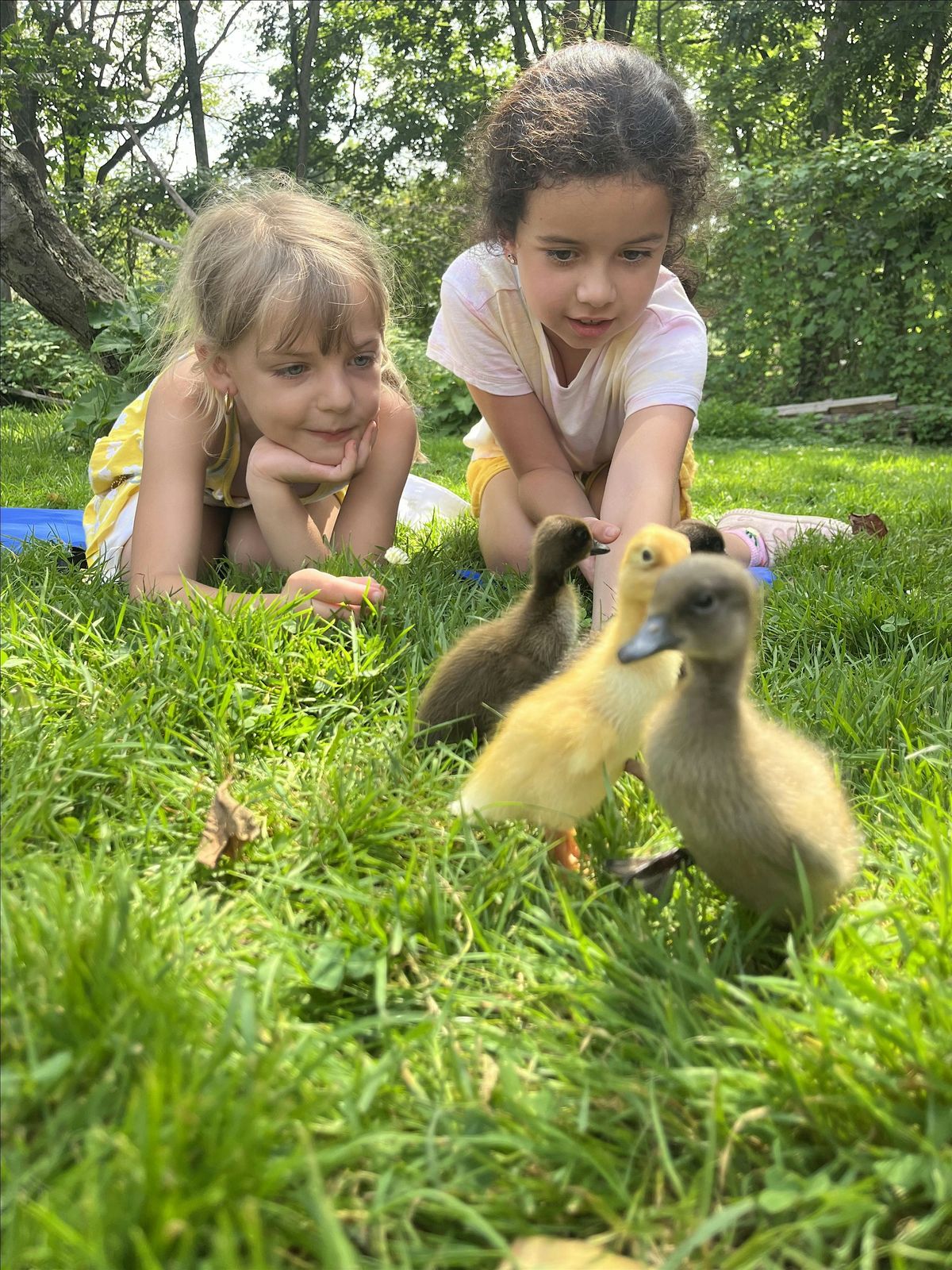 Junior Farmer Summer Camp 2026
