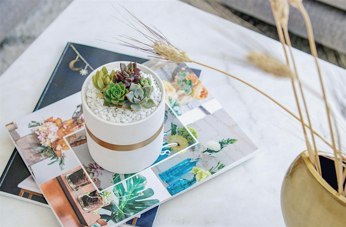 Succulent Arrangement Workshop Plants+Planter