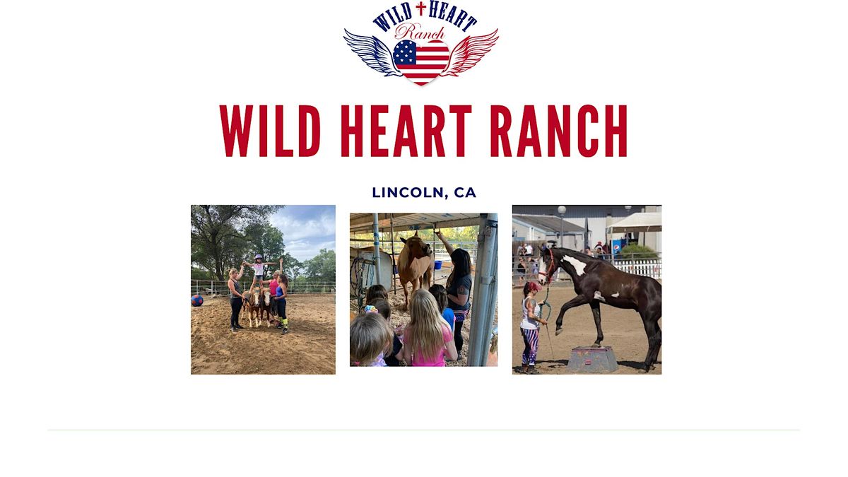 Wild Heart Ranch Vaulting/Circus Classes (Advanced Canter) at Wild ...