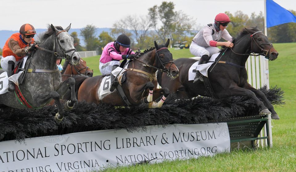 Virginia Fall Races 2022 Live at online on 8th October, 2022