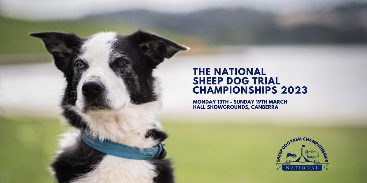 National Sheepdog Trial Championships 2023 Hall Showground March 13