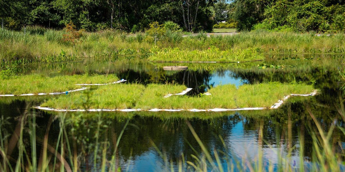 Green Stormwater Infrastructure (GSI) Maintenance Training
