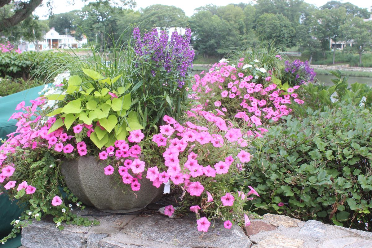 Summer Containers Demo Nielsen's Florist & Garden Shop, Darien, CT