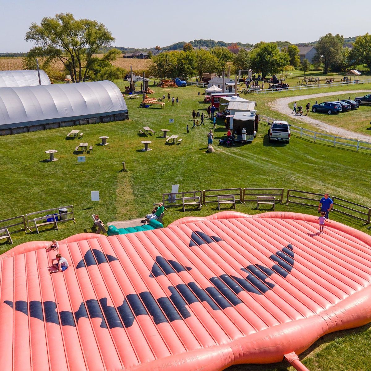 autism-friendly-fun-at-colony-pumpkin-patch-colony-pumpkin-patch