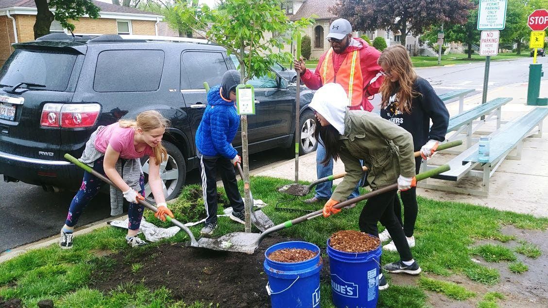 Tree Planting At Ann Reid School In Naperville Ann Reid Early Tree Planting At Ann Reid School In Naperville Ann Reid Early