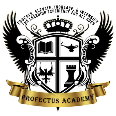 Profectus Academy LLC
