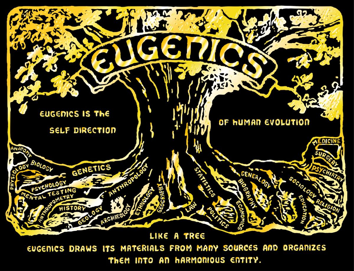 RACIAL MODELS WANTED FOR EUGENICS AND REPARATIONS SHOW TOTTENHAM HARINGEY