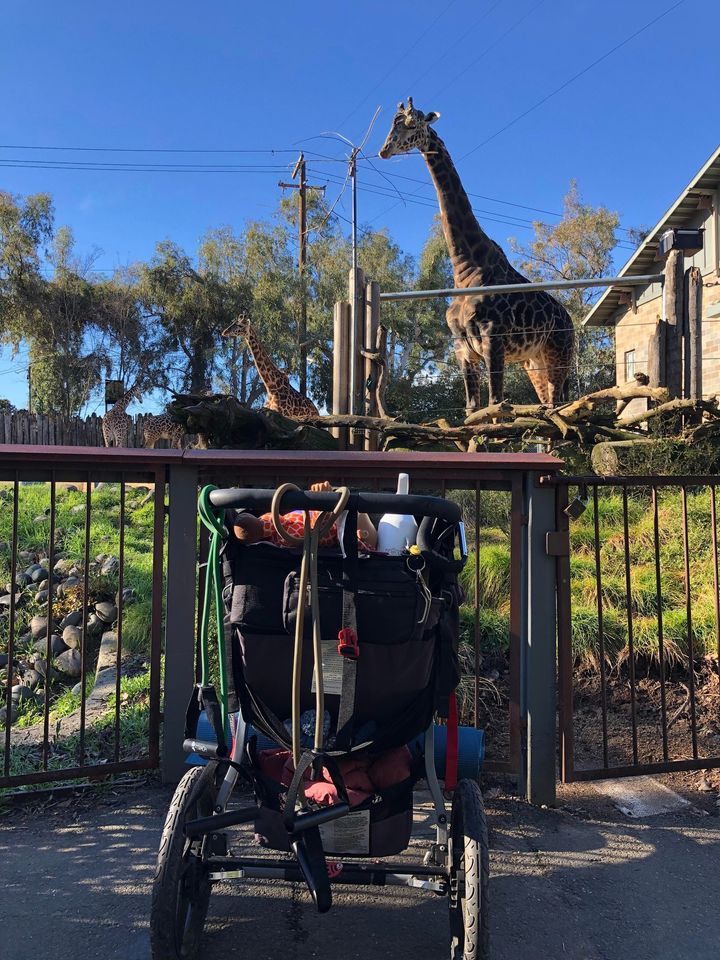 Stroller Strides at the Zoo! Sacramento Zoo December 4, 2023