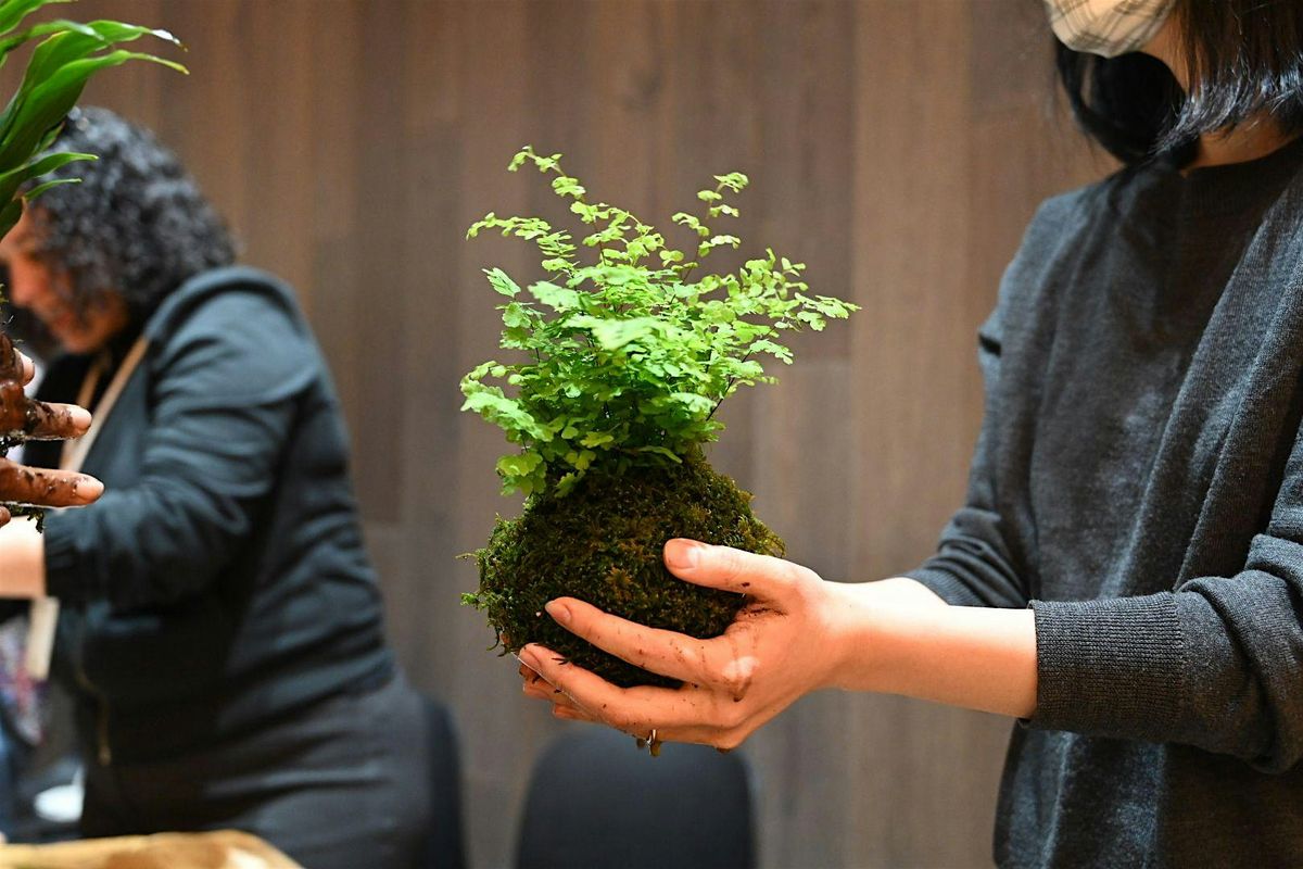 Get Wrapped Up in Green: Kokedama-Making Workshop