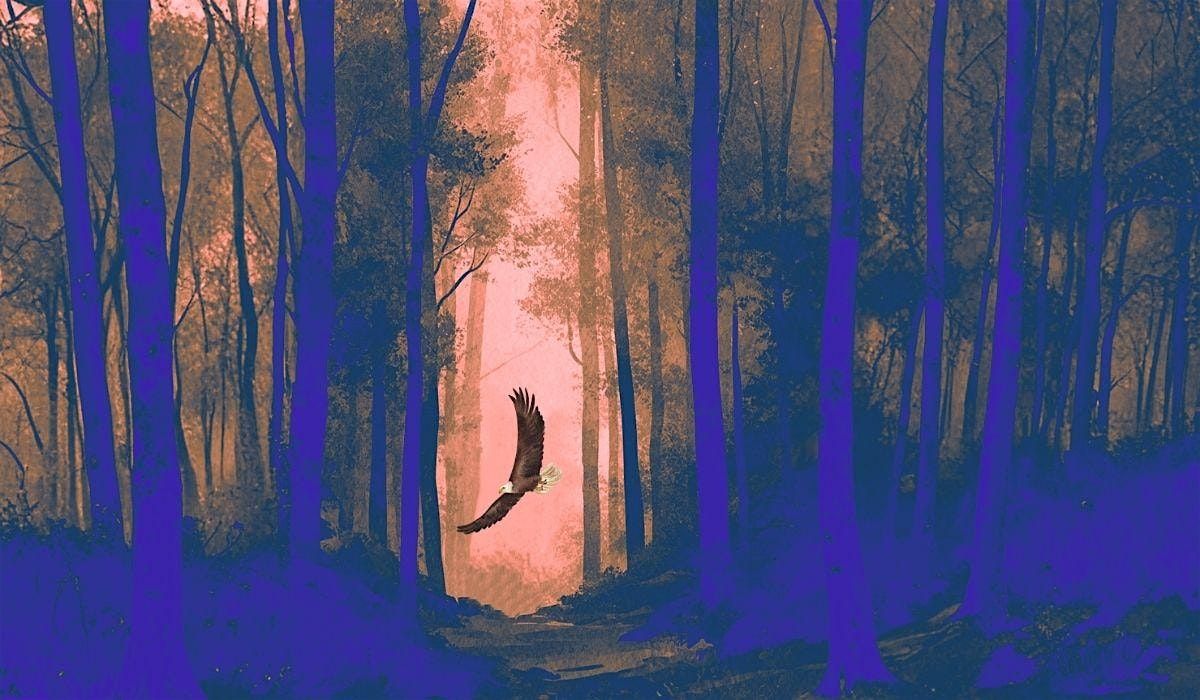 Ec(h)o - imaginarium & musique